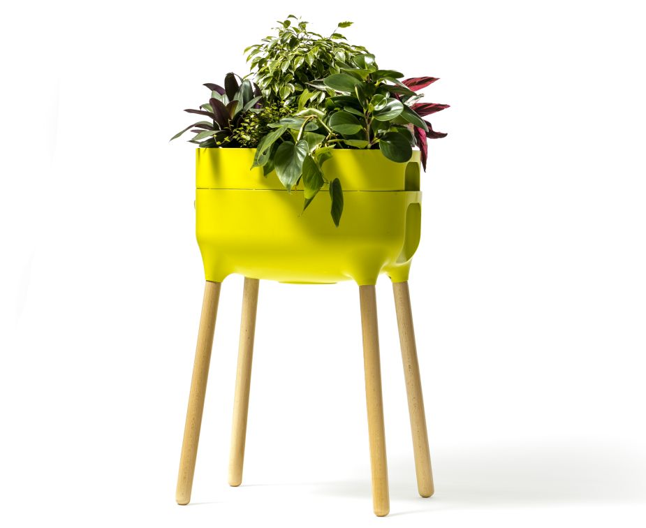 Hochwertiger Grüner Heim-Garten Pflanzkübel 50 x 38 x 25 cm